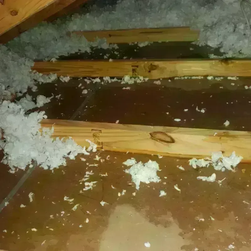 Attic Water Damage in Willow Creek, CA